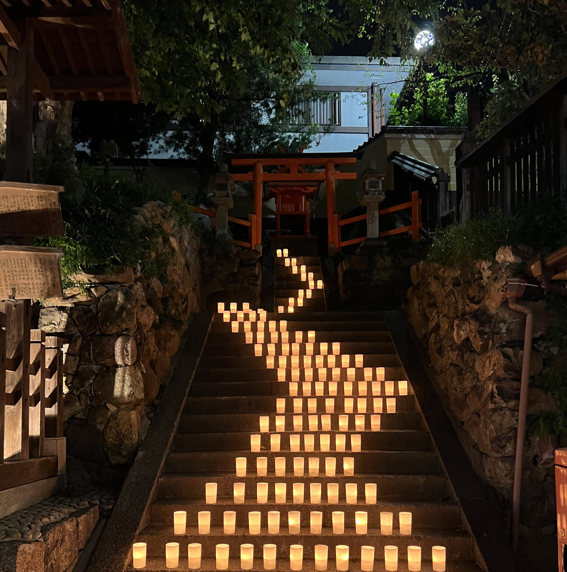 lanterns lighting stair path to torii gate